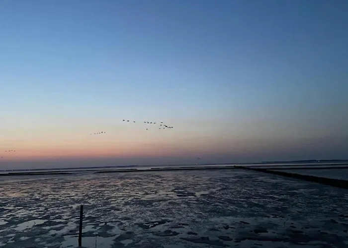 度假居 Reihenhaus, *