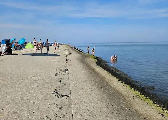 Reihenhaus, * 多纳莫塞尔