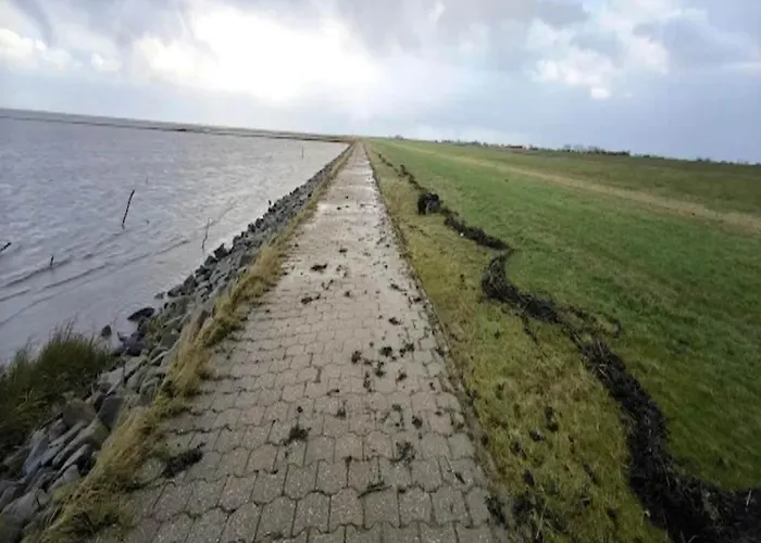 Reihenhaus, 多纳莫塞尔